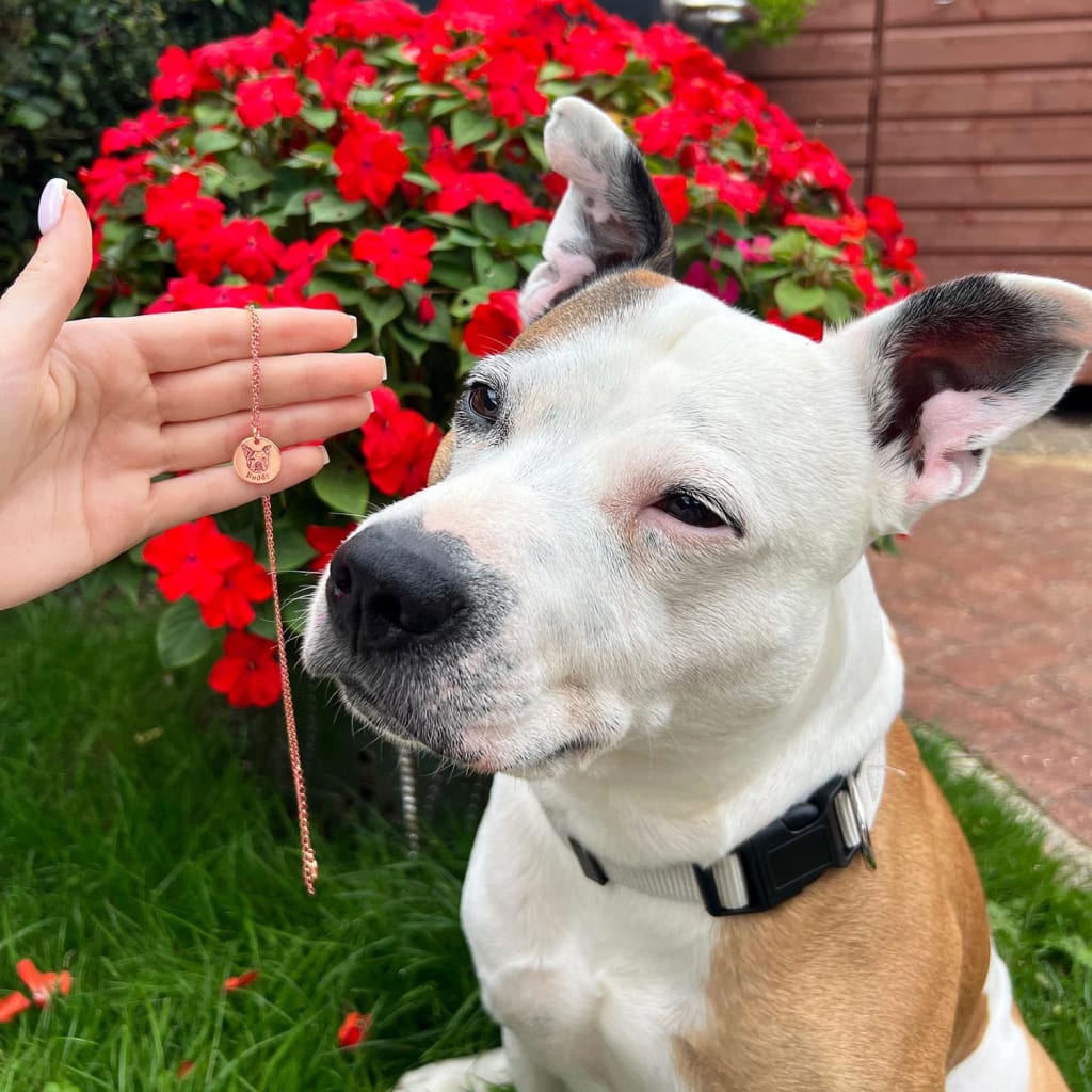 Pawtrait Pet Portrait Necklace