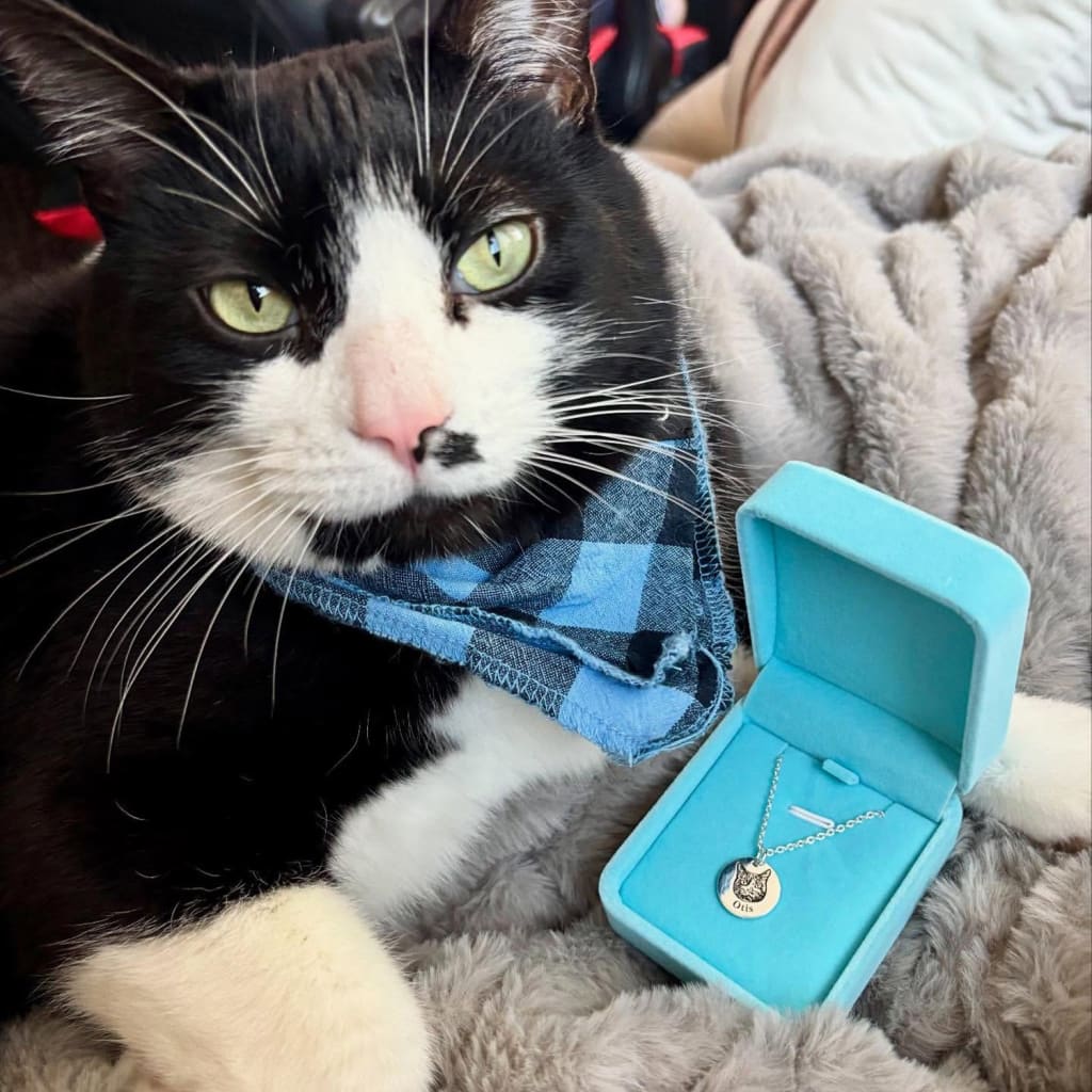 Pawtrait Pet Portrait Necklace